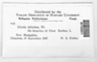 Image Associated With the Occurence